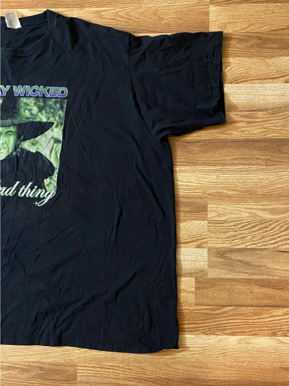 Black Short-Sleeve Graphic Tee with Wicked Witch Print Size 4X Unisex - Picture 4 of 9